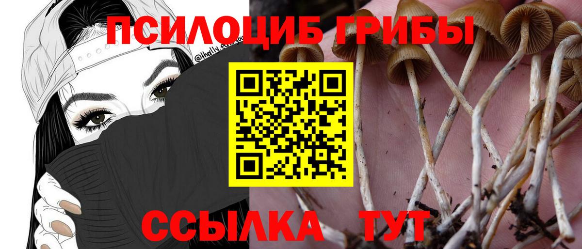 Ступино  Галлюциногенные грибы прущие грибы  Вход с VPN 